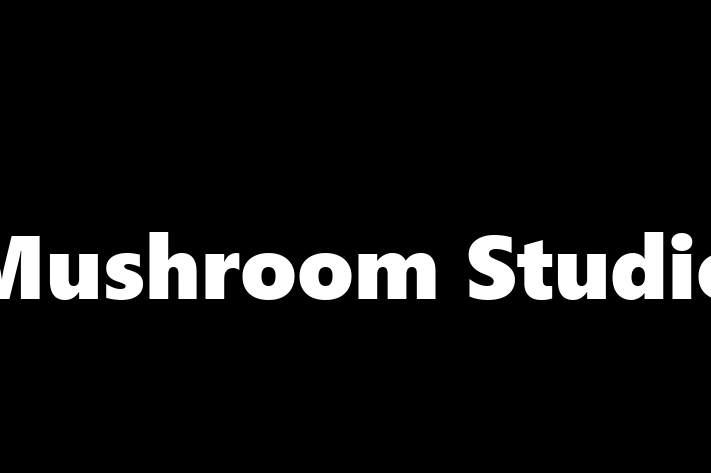 Mushroom Studio