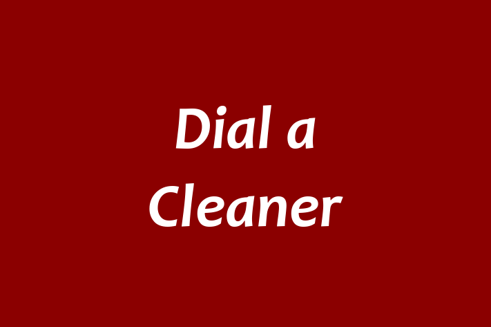 Dial a Cleaner