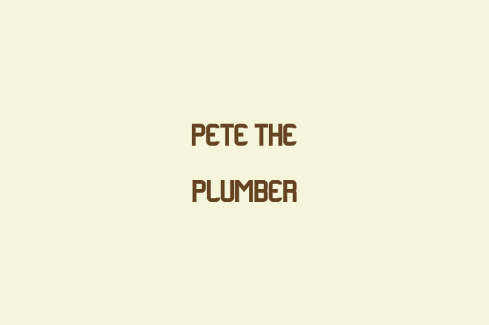 Pete The Plumber