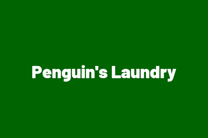 Penguin's Laundry