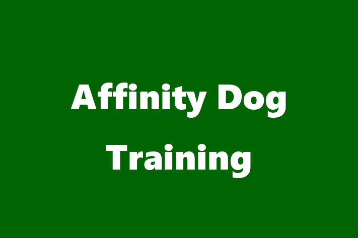 Affinity Dog Training