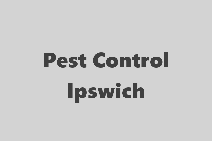 Pest Control Ipswich