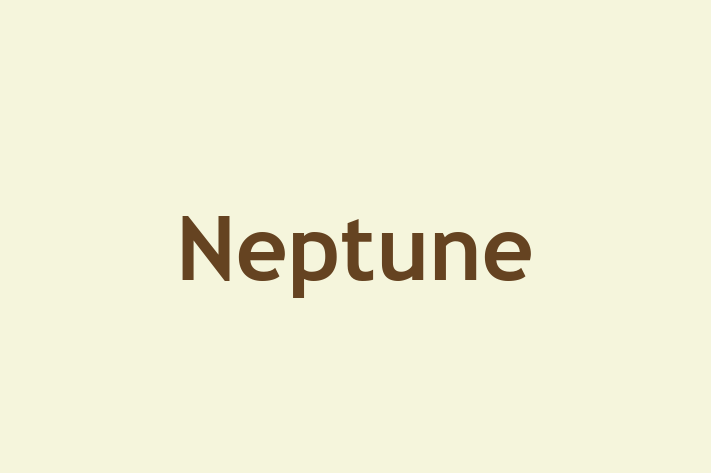 Neptune