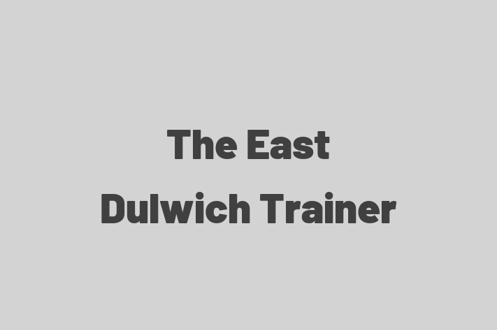 The East Dulwich Trainer