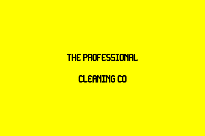 The Professional Cleaning Co