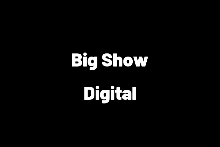 Big Show Digital