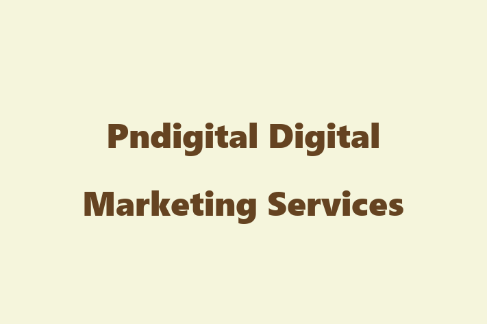 Pndigital   Digital Marketing Services