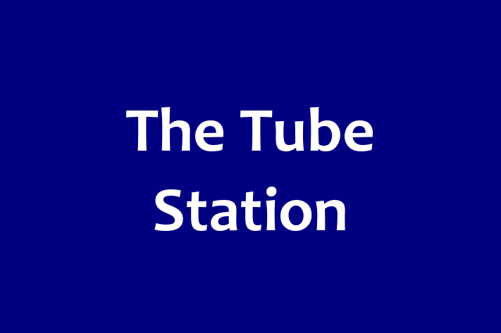 The Tube Station