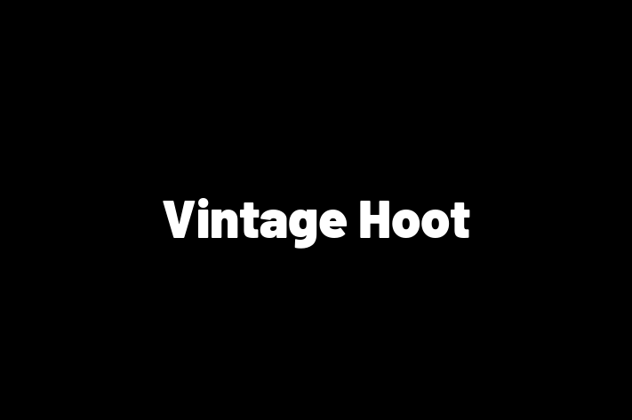 Vintage Hoot