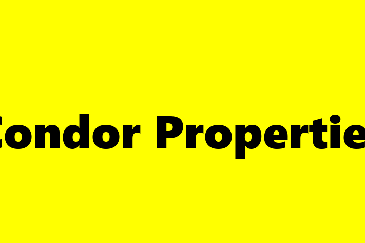 Condor Properties