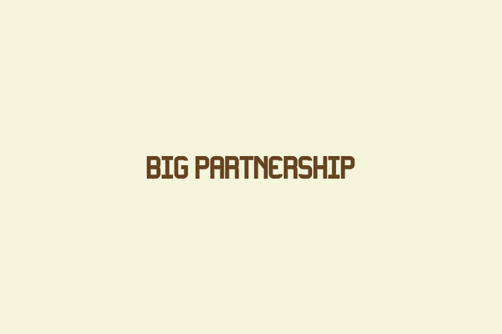 Big Partnership