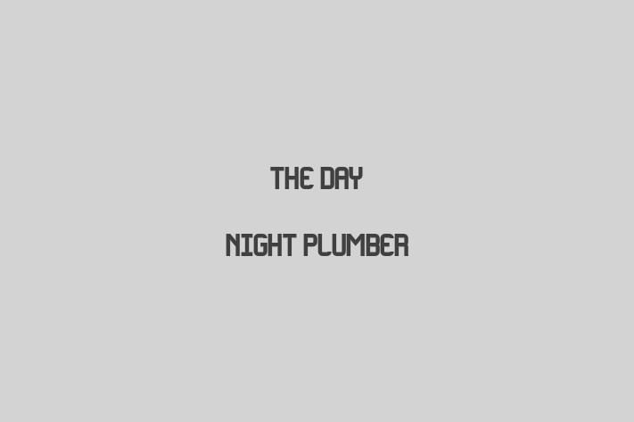 The Day Night Plumber