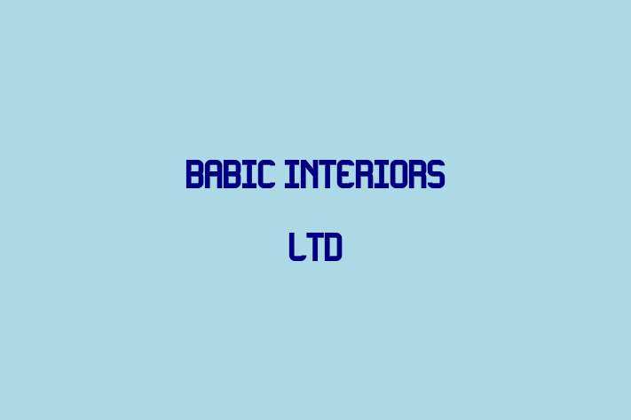 BABIC INTERIORS LTD