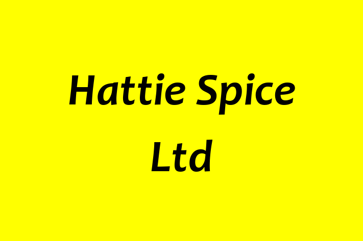 Hattie Spice Ltd