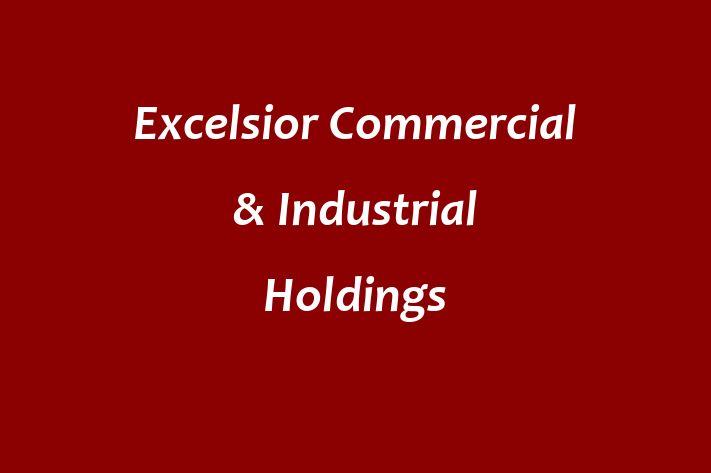 Excelsior Commercial & Industrial Holdings