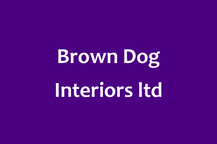 Brown Dog Interiors ltd