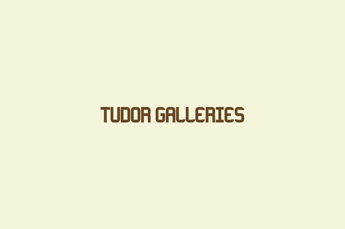 Tudor Galleries