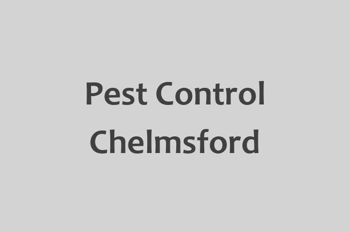 Pest Control Chelmsford