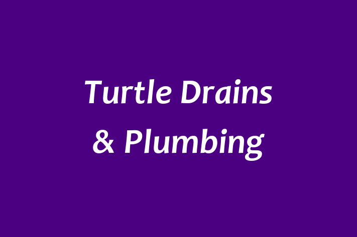 Turtle Drains & Plumbing