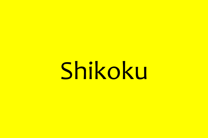 Shikoku Dog Available Now in Slough