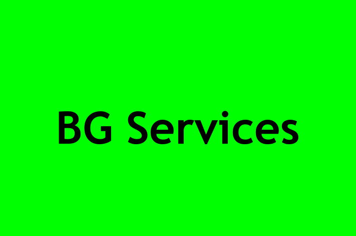 BG Services