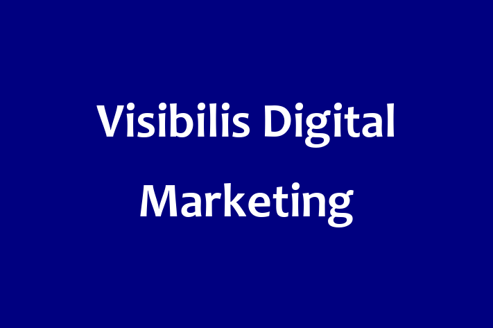 Visibilis Digital Marketing