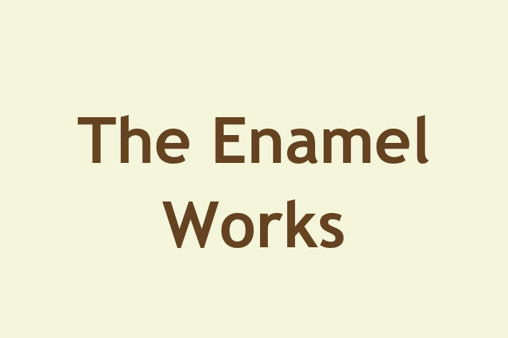 The Enamel Works