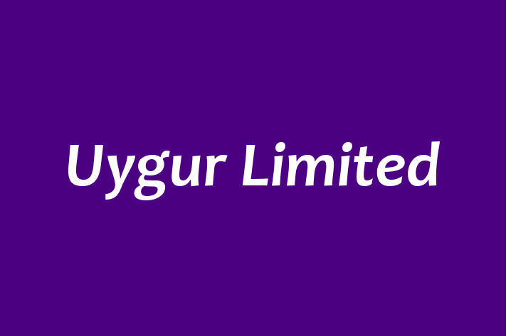 Uygur Limited