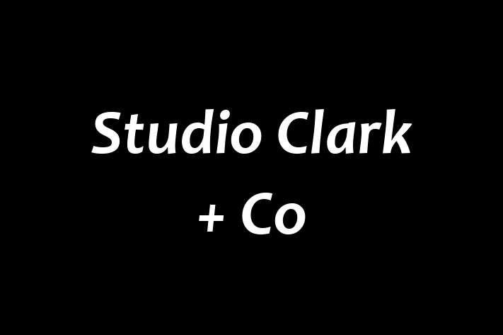 Studio Clark + Co