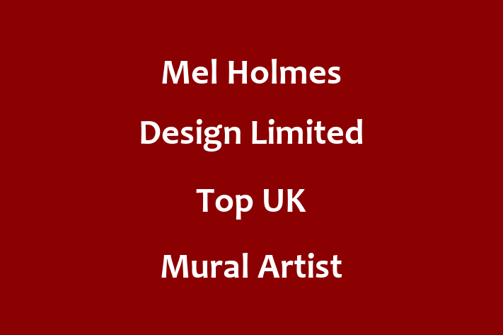 Mel Holmes Design Limited   Top UK Mural Artist