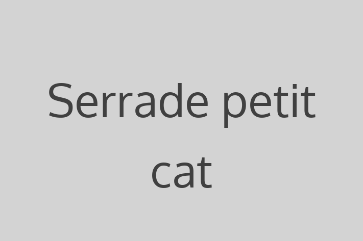 Find Your New Serrade petit cat Cat in Ely