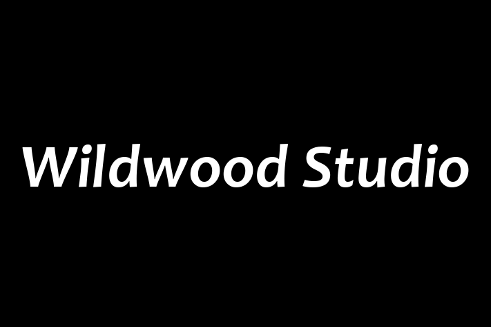 Wildwood Studio