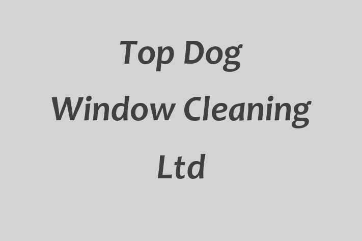 Top Dog Window Cleaning Ltd