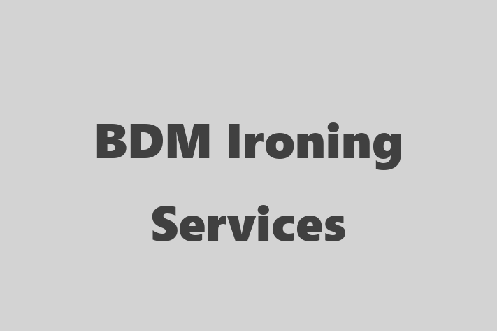 BDM Ironing Services