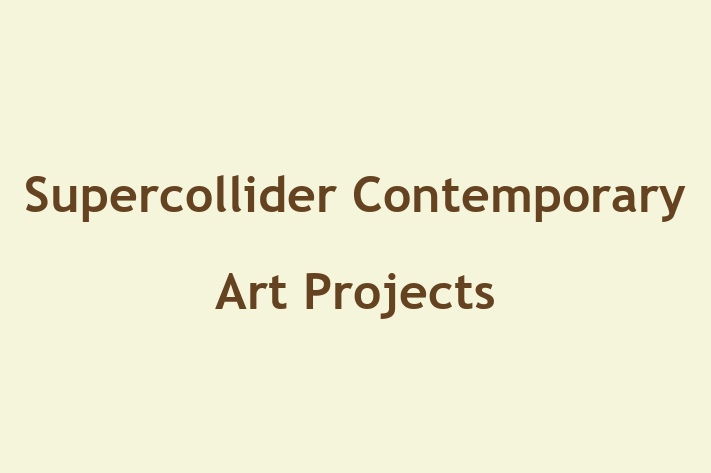 Supercollider Contemporary Art Projects