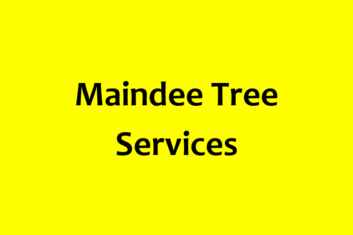 Maindee Tree Services