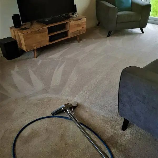 Cleanmycarpets co uk