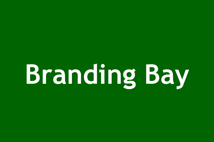 Branding Bay