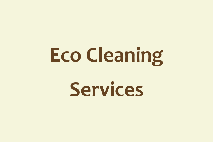 Eco Cleaning Services