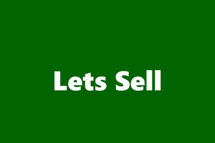 Lets Sell