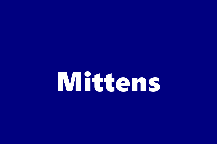 Mittens