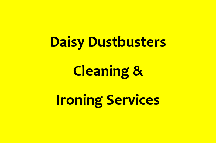 Daisy Dustbusters Cleaning & Ironing Services