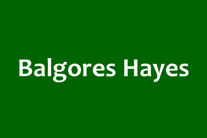 Balgores Hayes