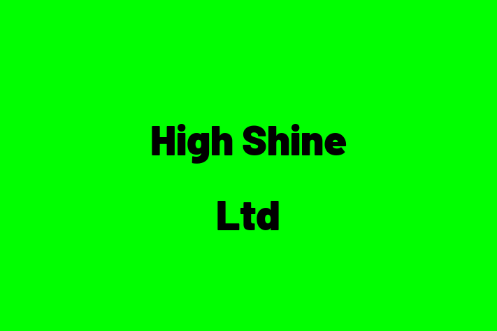 High Shine Ltd