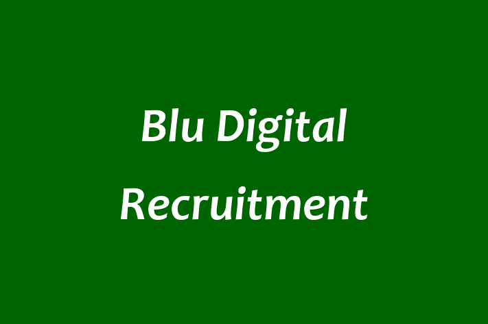 Blu Digital Recruitment