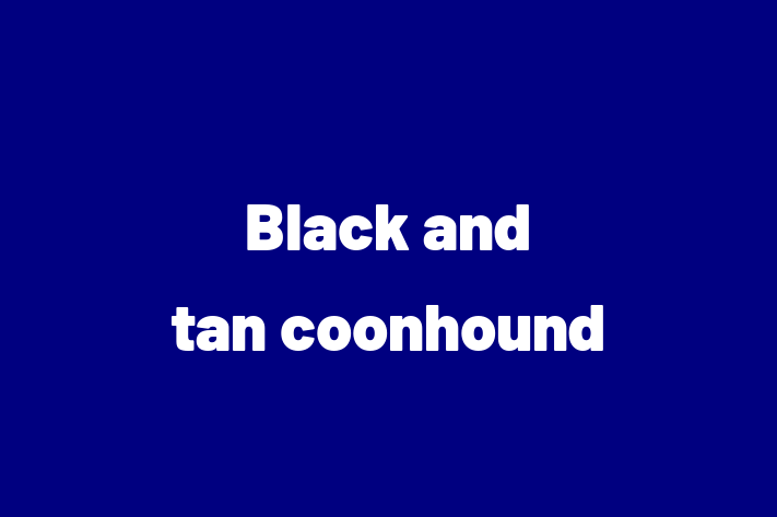 Dog Black and tan coonhound for Sale in London