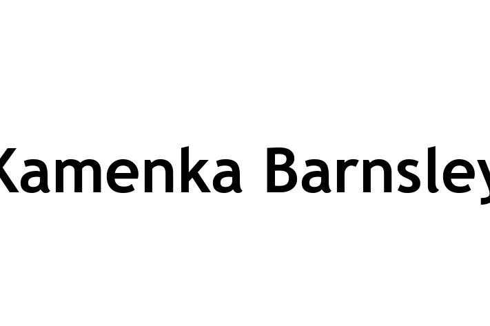 Kamenka Barnsley