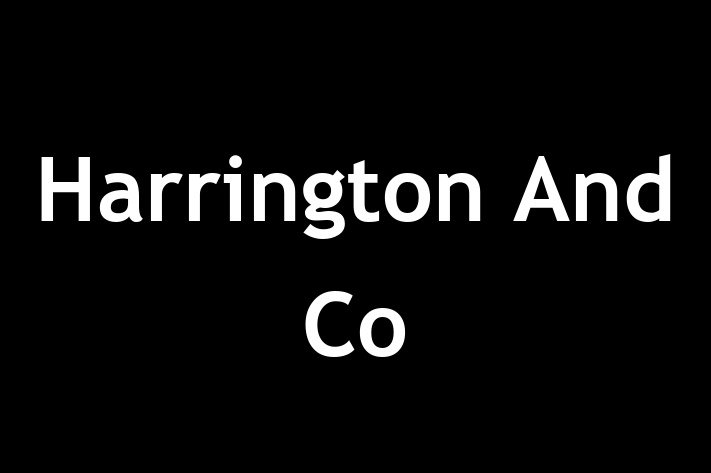 Harrington And Co