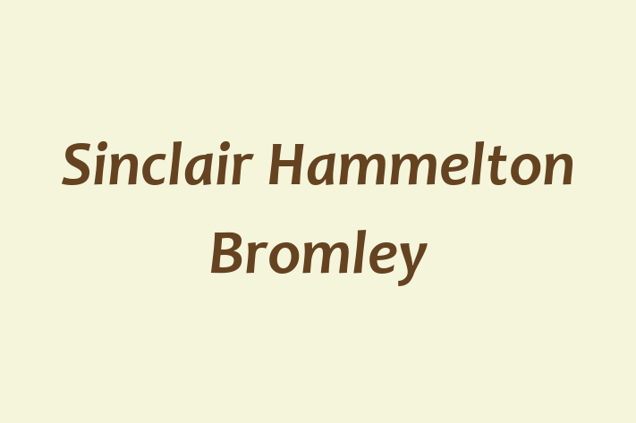 Sinclair Hammelton Bromley