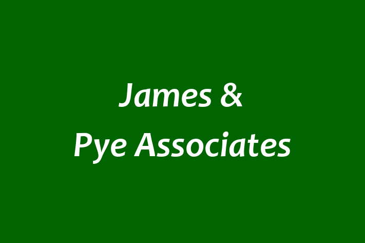 James & Pye Associates